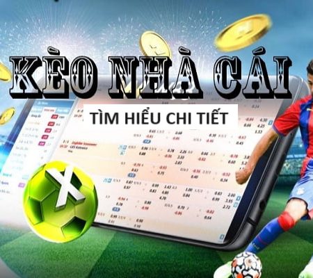 Web Cá Cược – Betting Website Vietnam